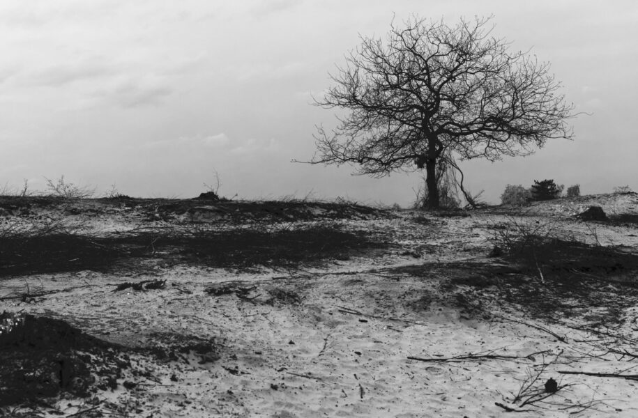 2021 – 2022 Ronde 1 Laura van Vessem