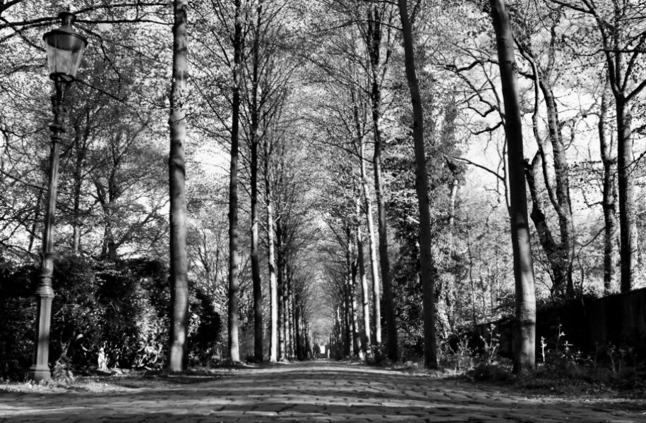 2021 – 2022 Ronde 1 Silvie Renders