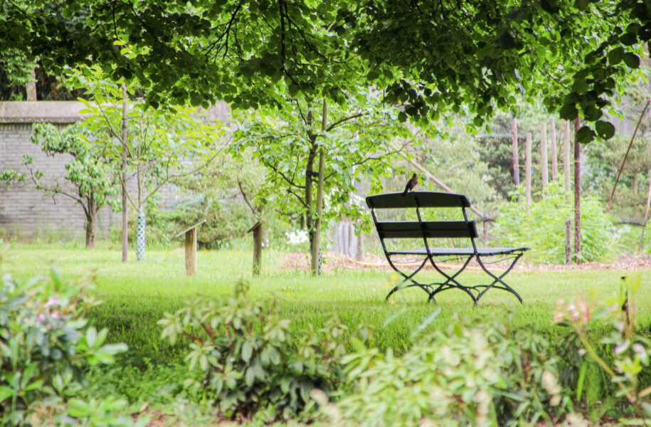 2021 – 2022 Ronde 2 – deelronde 1 Silvie Renders