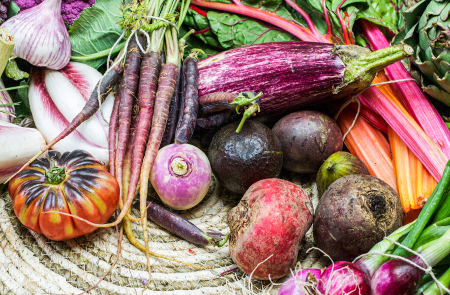 2021 – 2022 Ronde 2 – deelronde 3 Silvie Renders