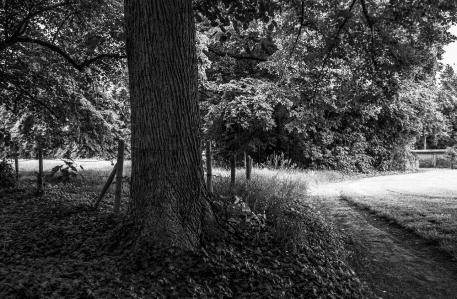 2021 – 2022 Ronde 2 – deelronde 1 Marco Broos